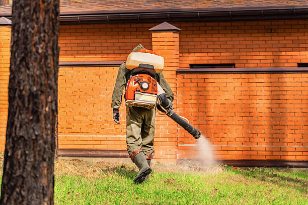Trusted Rodent Control service in North Cape May, NJ - Nex Pest Control